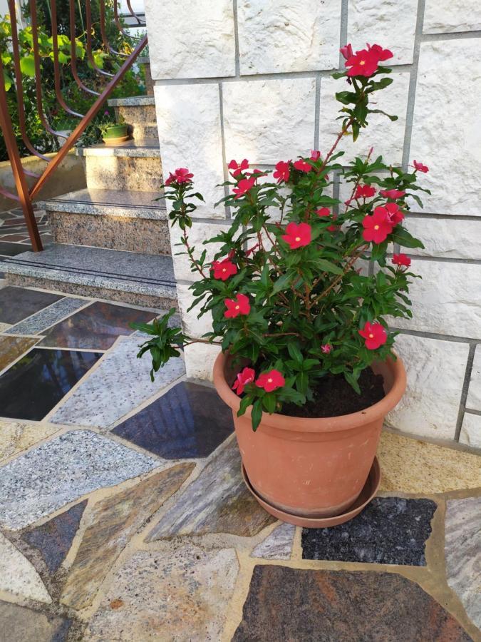 Samodol * Vodice